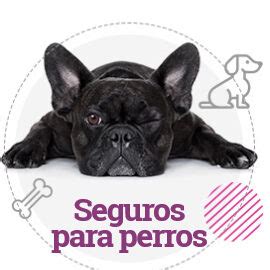 Seguro Obligatorio De Responsabilidad Civil Para Perros L Rida Seguro