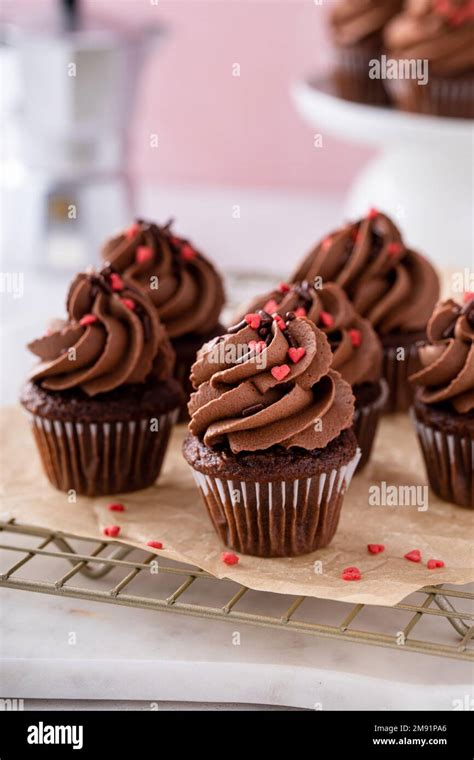 Dark Chocolate Cupcakes With Chocolate Ganache Frosting Stock Photo Alamy