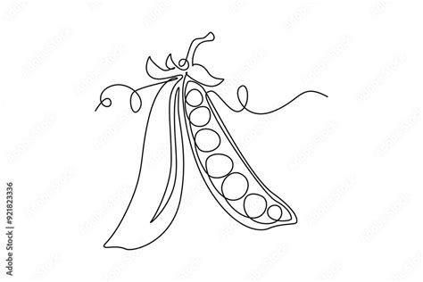 Continuous One Line Drawing Of Whole Healthy Organic Green Pea For