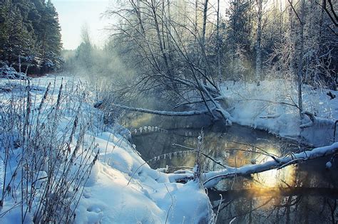 Landscape Winter Nature Rivers Snow Shore Wood Tree Morning