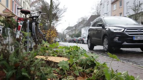 Kommentar Der Klimawandel Bedroht Den Baumbestand In Bremen