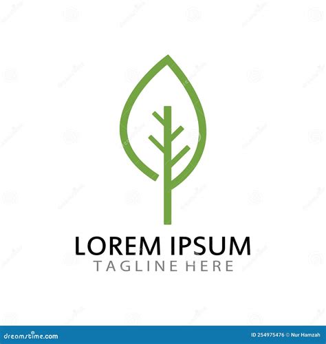 Natural Green Leaf Logo Icon Template Stock Vector Illustration Of