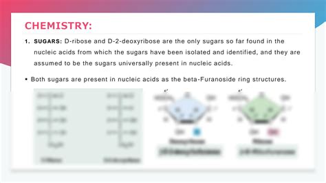 Solution Nucleic Acid Lecture Studypool