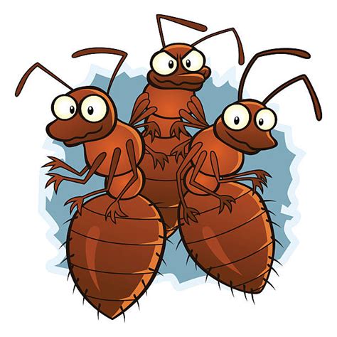 20 Three Ants Stock Illustrations Royalty Free Vector Graphics And Clip