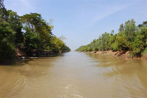 Hau Giang River Photos Stock Photos, Pictures & Royalty-Free Images ...