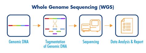 Whole Genome Sequencing ITAGroup