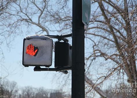 Stop Snowing Photograph By Jennifer Geller