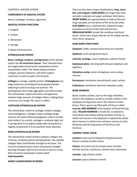 Chapter 6 Seeley S Anatomy And Physiology 11th Edition CHAPTER 6