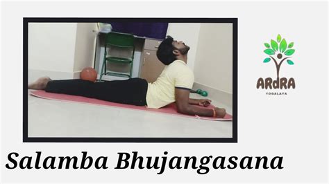 Salamba Bhujangasana Sphinx Pose Cobra Basics Ardra Yogalaya