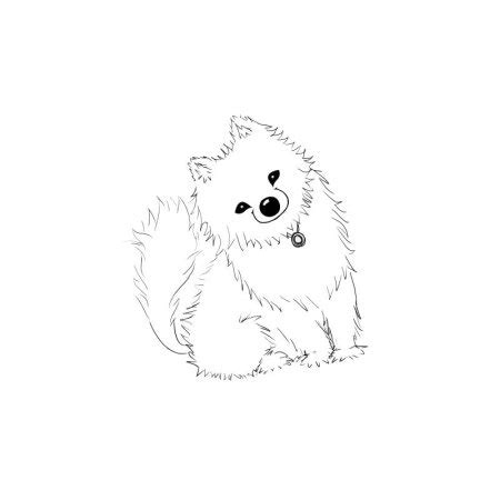 Картинки раскраски шпиц (52 фото)