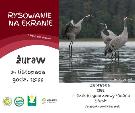 Rysowanie na ekranie żuraw