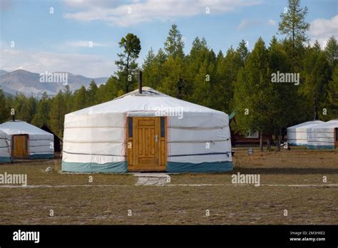 Yurt Camp On A Beautiful Sunny Day In Mongolia Ger Campsite In Rural