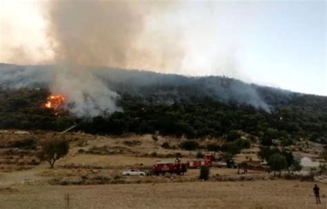 Son dakika haberi Kaş ta orman yangını kontrol altına alındı Haberler