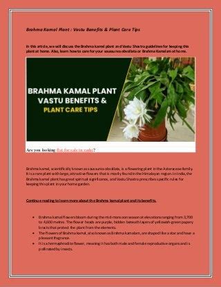 Vastu Benefits Pdf