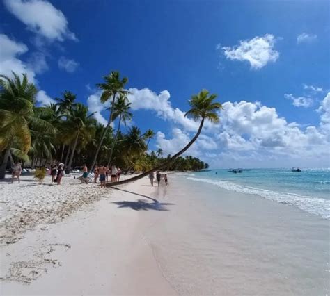 Excursión De Día Completo En La Isla Saona Sofunrdtour Las Mejores