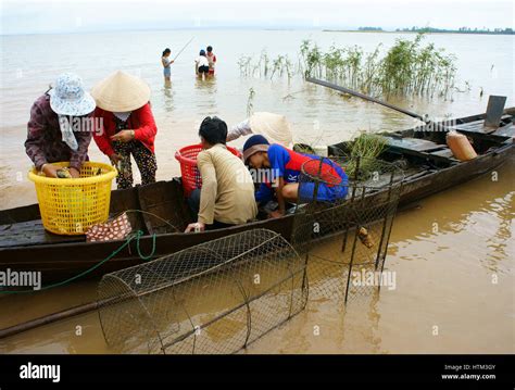 Dong Nai Viet Nam Asian Fisherman Fishing On Tri An Lake A Branch Of