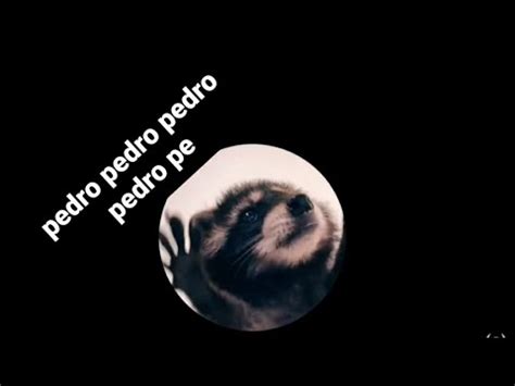 Pedro Pedro Pedro Pedro Pesonglyrics Youtube