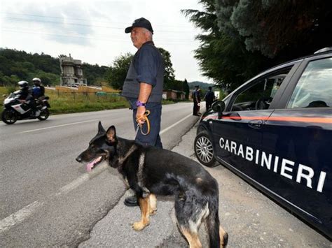 Due Arresti Per Droga Eseguiti Dai Carabinieri Di Vasto E San Salvo