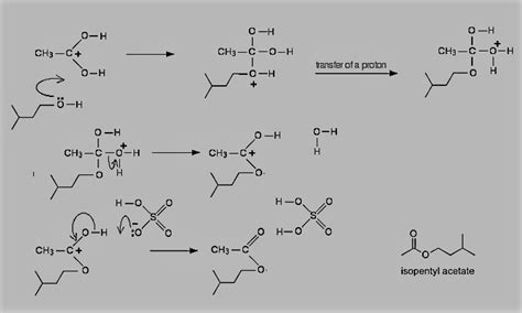 Solved Synthesis Of Isopentyl Acetate Banana Oil Isopentyl Acetate