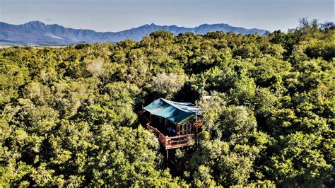 Teniqua Treetops Forest Lodge Accommodation In Sedgefield Best Price