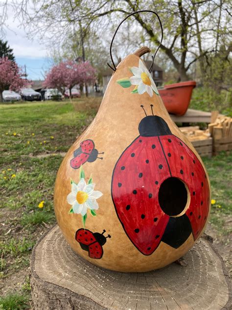 Natural Birdhouse Gourd Handpainted With Ladybug And Flowers Etsy