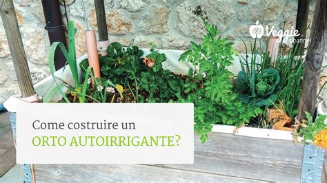 Come Costruire Un Orto Autoirrigante YouTube