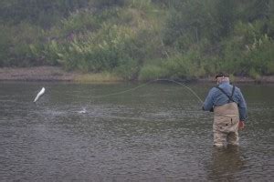 Experience - Alaska Salmon Fishing - Unalakleet River Lodge