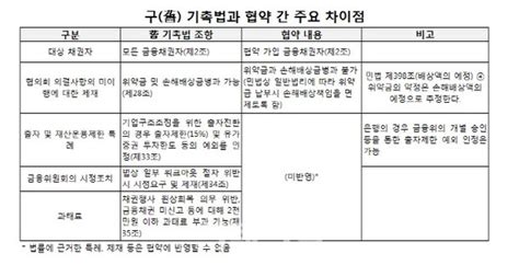 기촉법 대안 구조조정협약 내달 1일 시행반쪽짜리 운영 불가피 네이트 뉴스