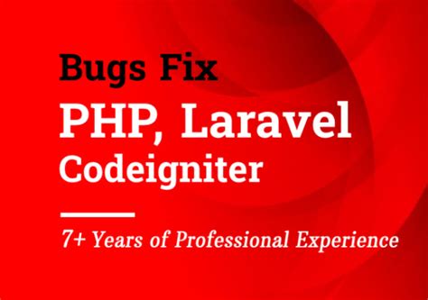 Develop Or Fix Bugs Errors In Php Laravel Codeigniter By Lara Guru