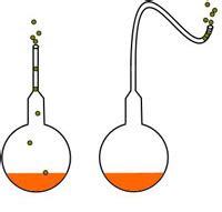 Famous Louis Pasteur Experiment: Spontaneous Generation - Pasteur Brewing