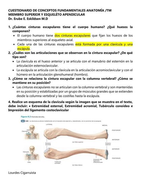 Cuestionario De Miembro Superior Y Esqueleto Apendicular Yo Mic Udocz