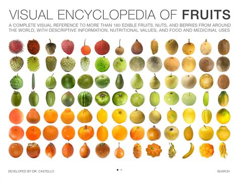 Unique Fruit: The Name All The Fruits In The World