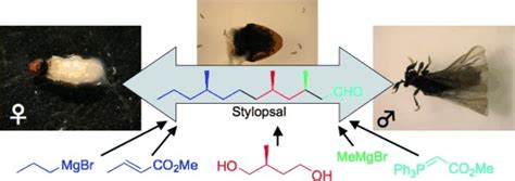 Total Synthesis Proof Of Absolute Configuration And Biosynthetic