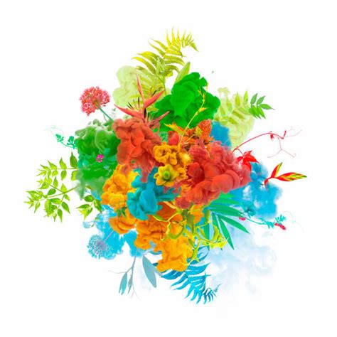 exploding flower stock  pictures royalty  images