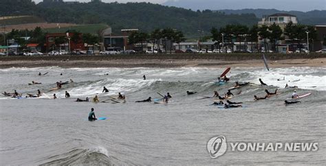 기상악화에 강원 동해안 피서객 30만→12만명 발길 뚝 나무뉴스