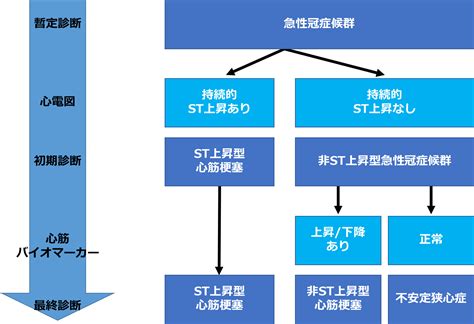 急性冠症候群acs│不識庵 万年研修医のブログ