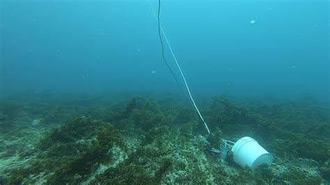 Douglas Shoal Sediment Sampling Panorama Video 2019 F2 2 GH010060