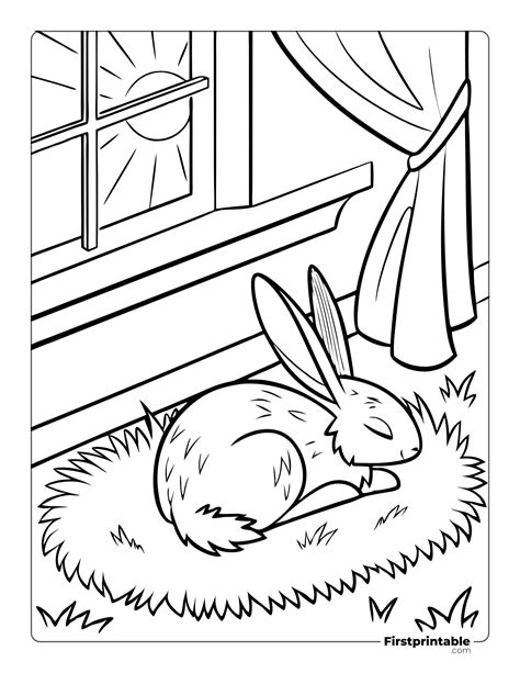 Realistic Rabbit Coloring Pages [2025]