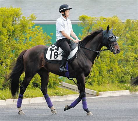 【七夕賞】2番人気のレッドラディエンスが重賞初v、1番人気のキングズパレスに2馬身差をつける