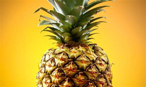 Bromelain Enzyme Allergy Brain Mind Article