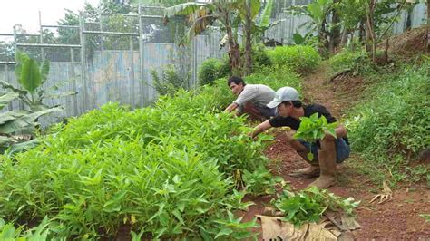 Lapas Kelas II B Banjar Terus Asah Kreativitas Warga Binaan