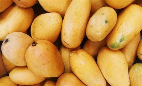 Conoce Los Beneficios De Comer Mango Para La Salud