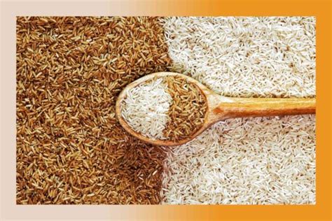 Which Is Healthier Brown Rice Or White Rice Roop Mahal Rice