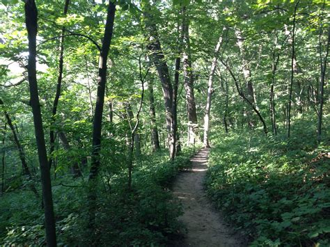 Hixon Forest hiking trail | Hiking trails, Country roads, La crosse ...