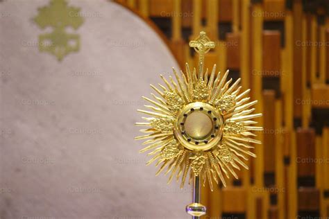 Eucharistic Adoration photo — Cathopic