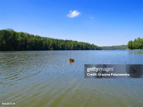 masurian lake stock  high res pictures  images getty
