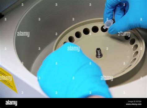 Research Scientist Putting Test Tube Into Real Time Pcr Machine Stock