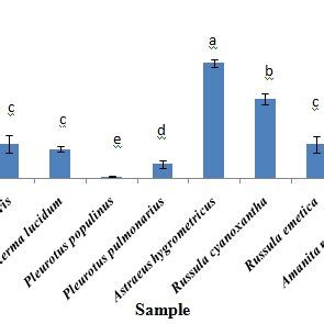 Protein content in the collected mushroom samples | Download Scientific ...