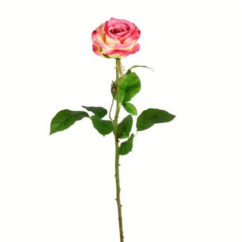 26 Light Pink Rose Stem 6/pk - FA191379, 1 - Kroger