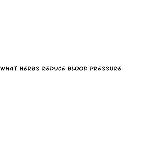 What Herbs Reduce Blood Pressure Diocese Of Brooklyn